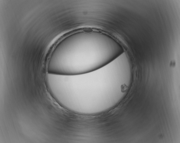 X0000113131068200909040927
