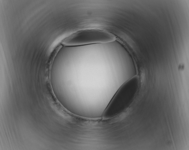 X0000113131069200909040927
