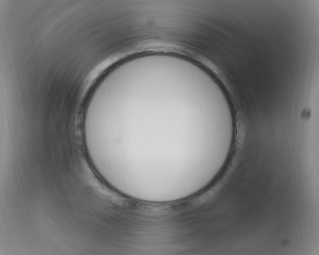 X0000113131074200909040927