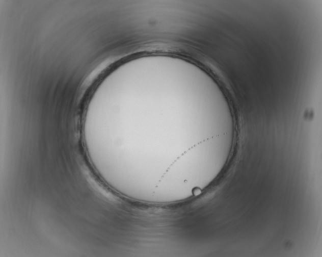 X0000113131075200909040927