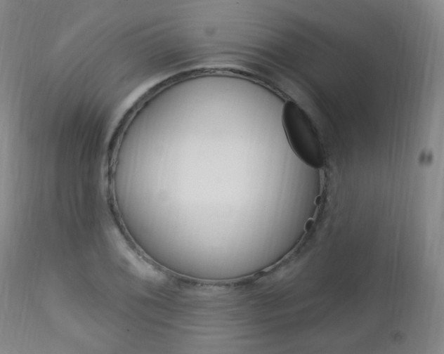 X0000113131076200909040927