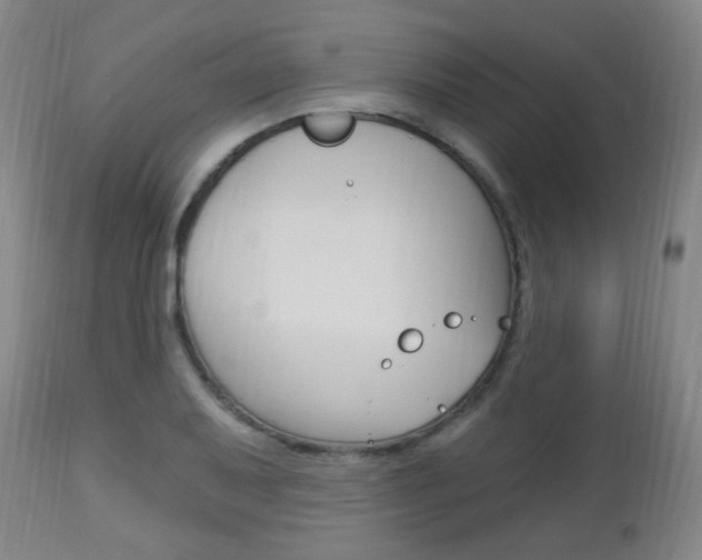 X0000113131079200909040927
