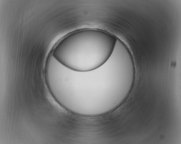 X0000113131080200909040927