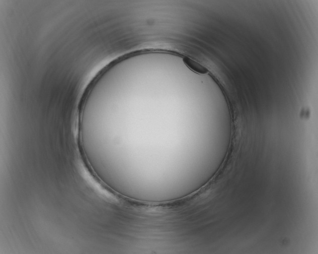 X0000113131084200909040927