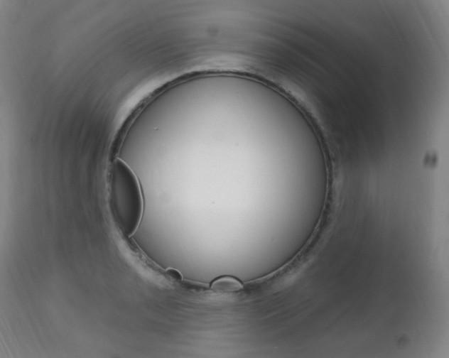 X0000113131085200909040927