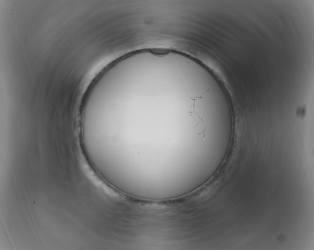 X0000113131088200909040927