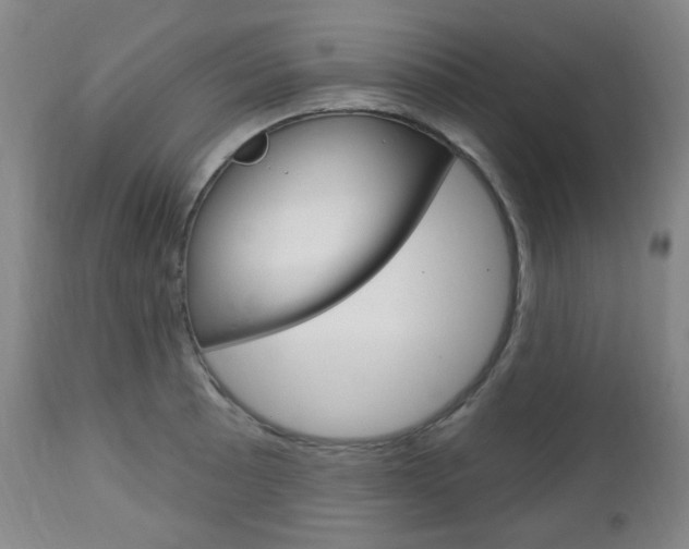 X0000113131089200909040927