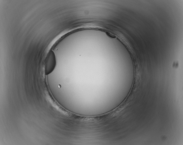 X0000113131092200909040927