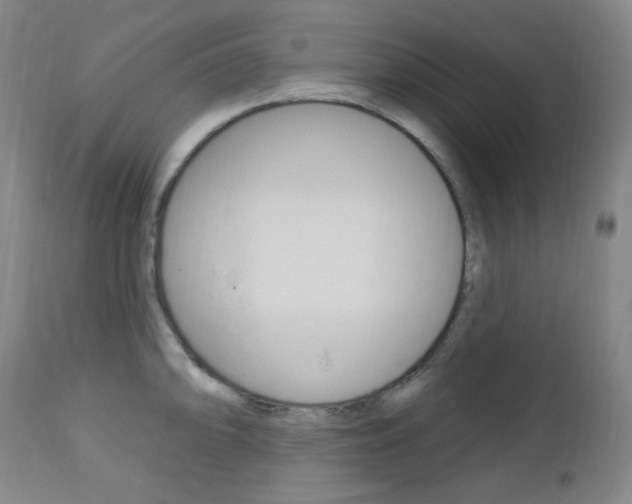 X0000113131094200909040927