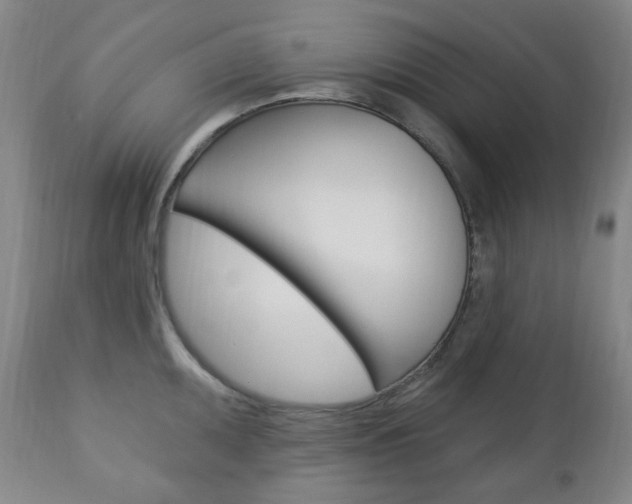 X0000113131095200909040927