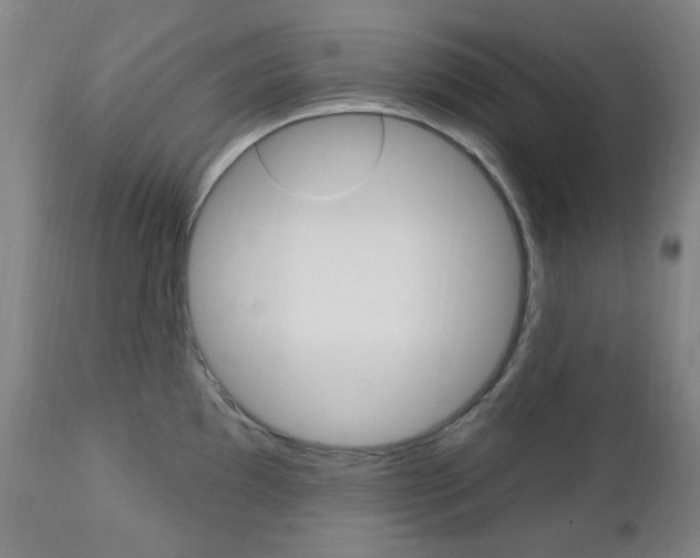 X0000113131097200909040927