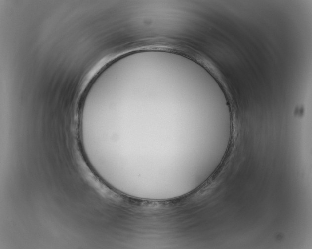X0000113131099200909040927
