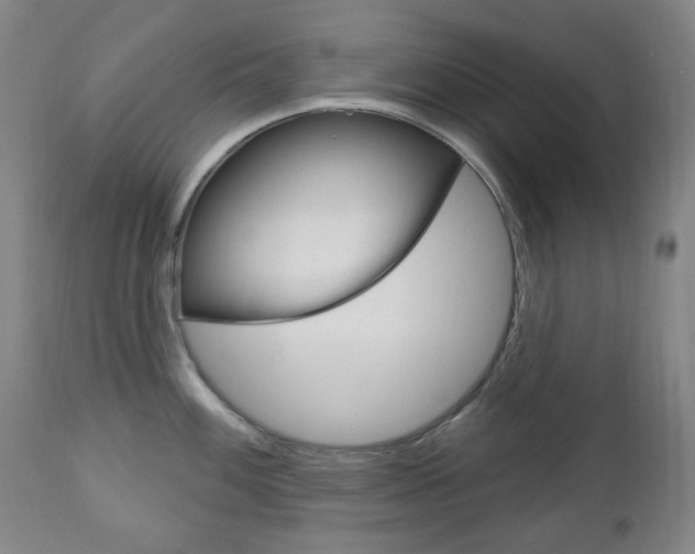 X0000113131100200909040927