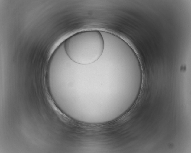 X0000113131101200909040927