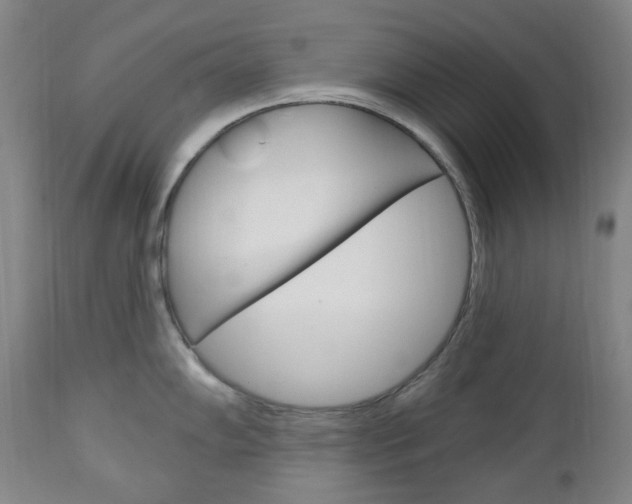 X0000113131102200909040927