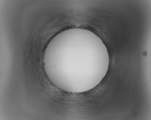 X0000113131105200909040926