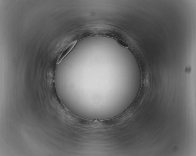 X0000113131108200909040926