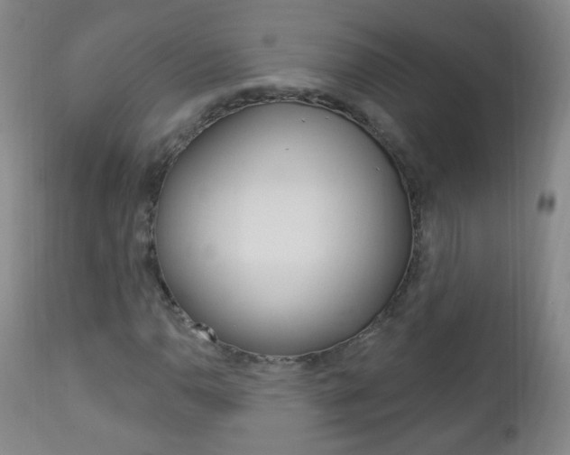 X0000113131110200909040926