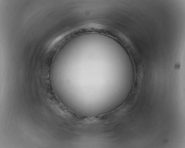 X0000113131112200909040926