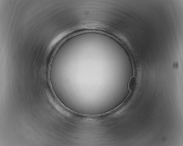X0000113131114200909040926
