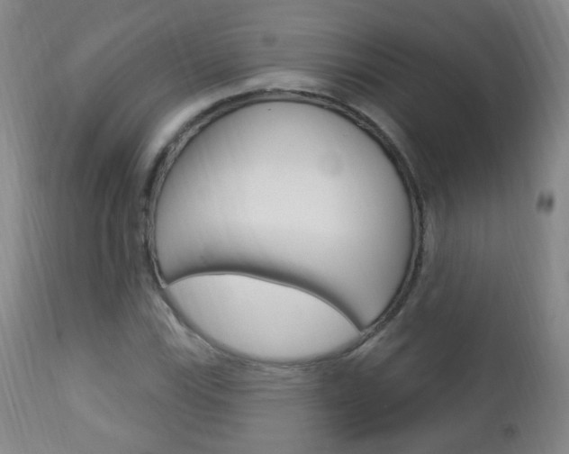 X0000113131115200909040926