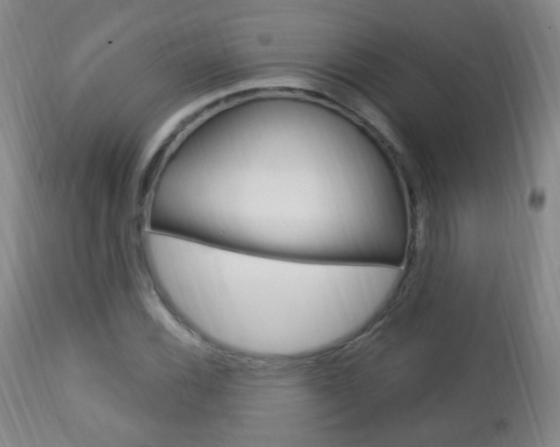 X0000113131116200909040926