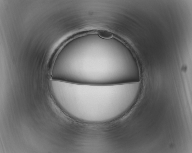 X0000113131118200909040926