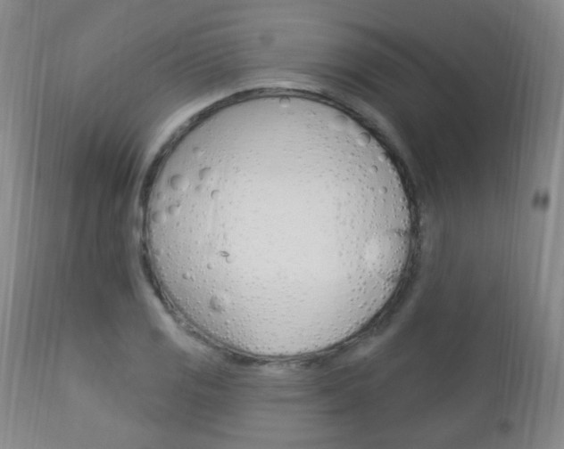 X0000113131125200909040926