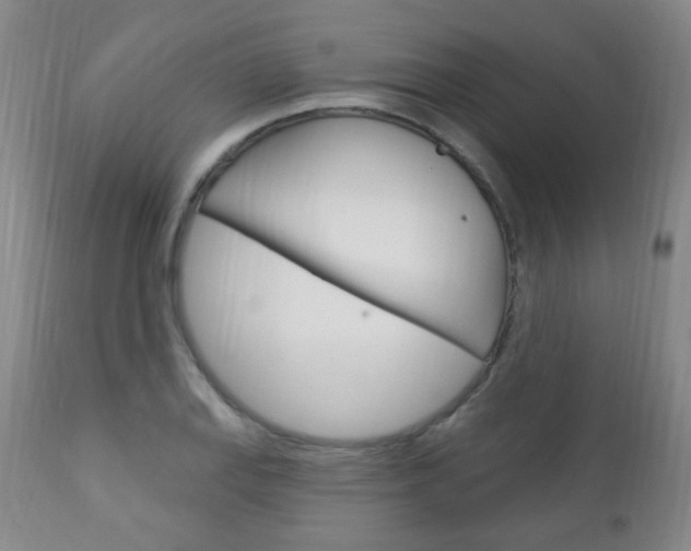 X0000113131127200909040926