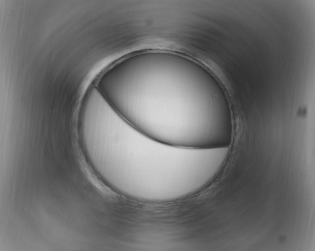 X0000113131128200909040926