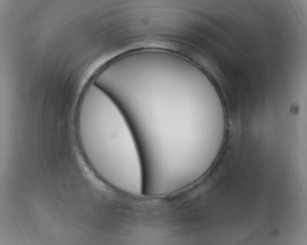 X0000113131133200909040926
