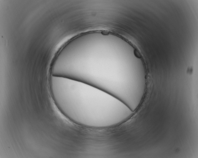 X0000113131135200909040926