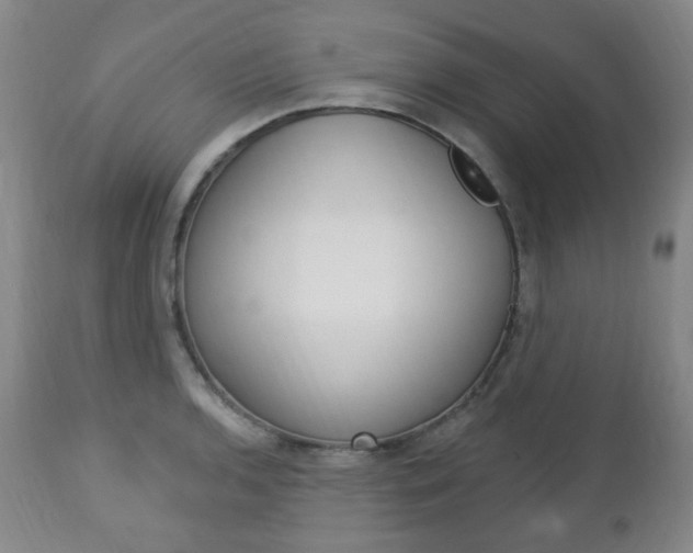X0000113131136200909040926