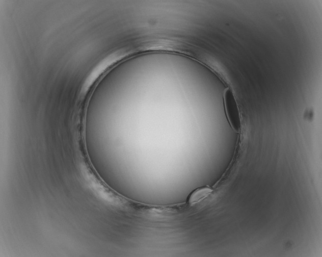 X0000113131138200909040926