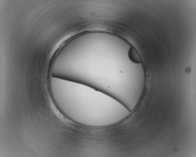 X0000113131139200909040926