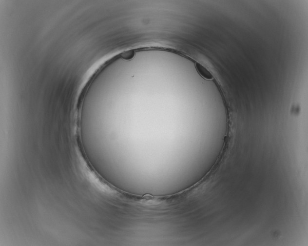 X0000113131140200909040926