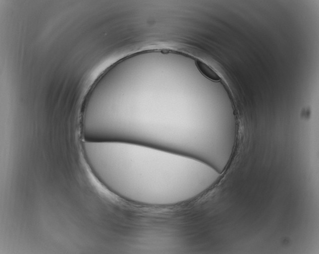 X0000113131143200909040926