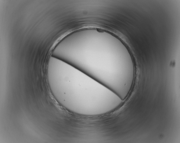 X0000113131145200909040927