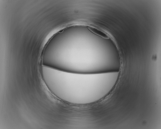 X0000113131146200909040927