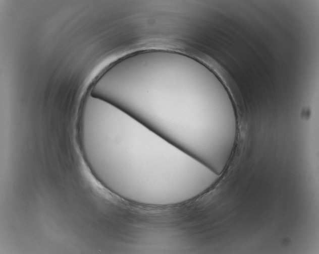 X0000113131147200909040927