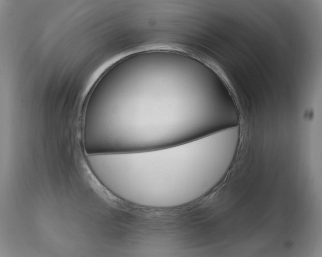 X0000113131148200909040927