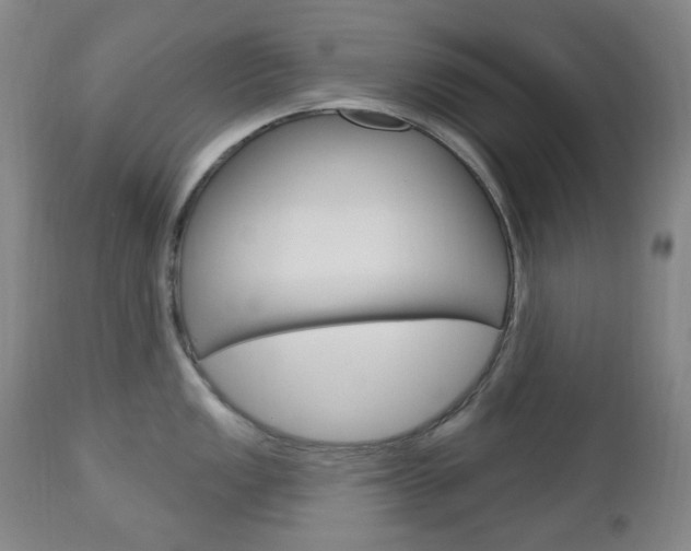 X0000113131149200909040927