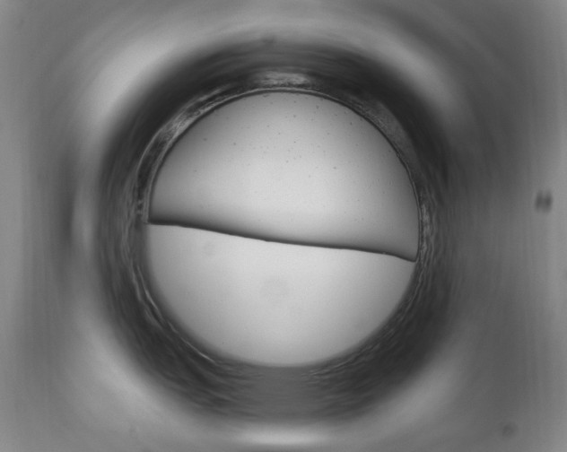 X0000113131151200909040927