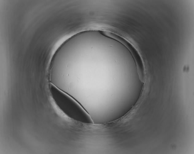 X0000113131152200909040927