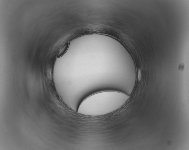 X0000113131155200909040926