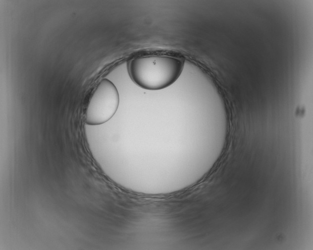X0000113131157200909040926
