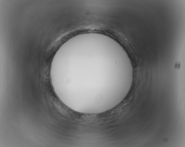X0000113131158200909040926