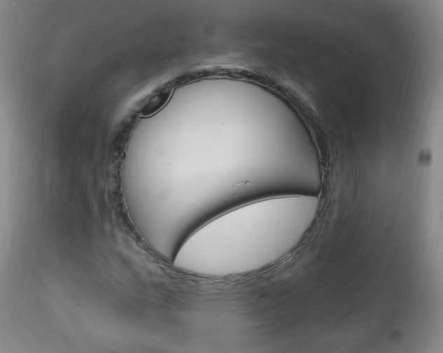 X0000113131159200909040926