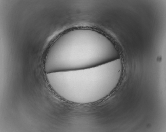 X0000113131160200909040926
