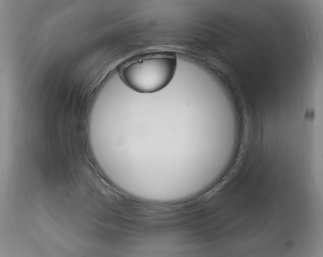 X0000113131161200909040926